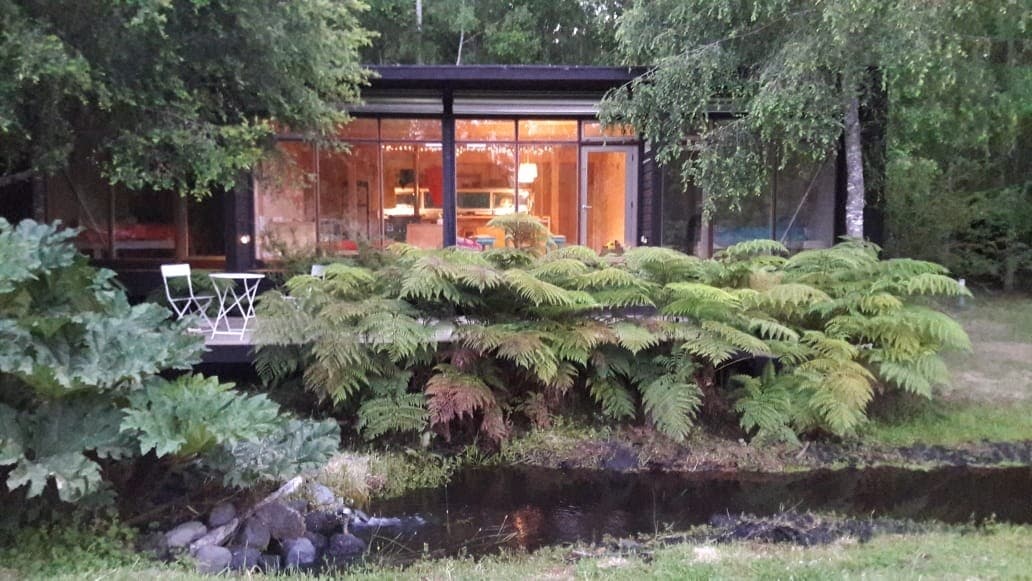 The exterior of a modern house is presented, featuring large windows that reveal a warm interior. Lush green ferns and shrubs border the space, while a small stream flows gently in front of the house, enhancing the natural setting.