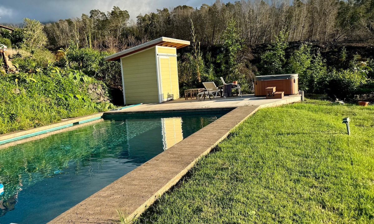 A spacious swimming pool is surrounded by a lush green lawn, with sun loungers positioned nearby. A jacuzzi hot tub is visible on the pool deck, and a small shed stands beside the pool area, all set against a backdrop of young trees and greenery.