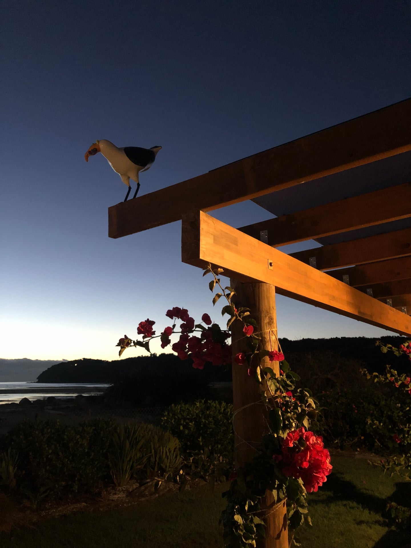Beach Front Accommodation - Abel Tasman - Marahau 4