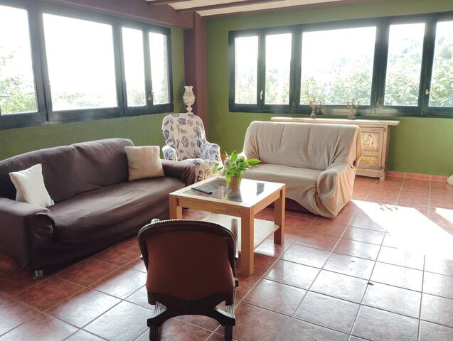 MAS CAMPMOL gallery image 5