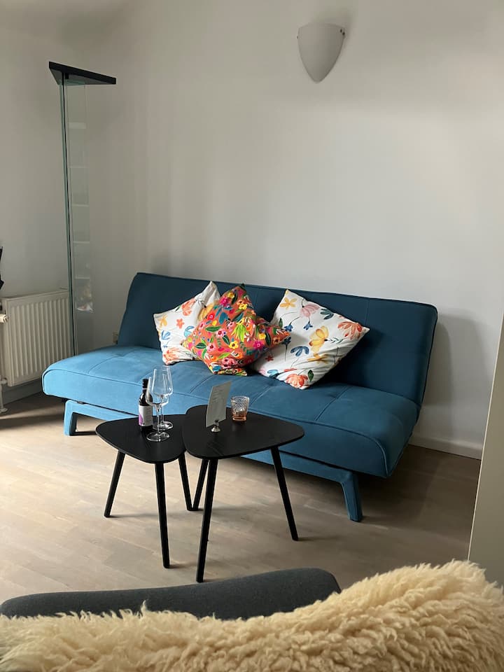 Irene's Vogelhuis - Schoorl