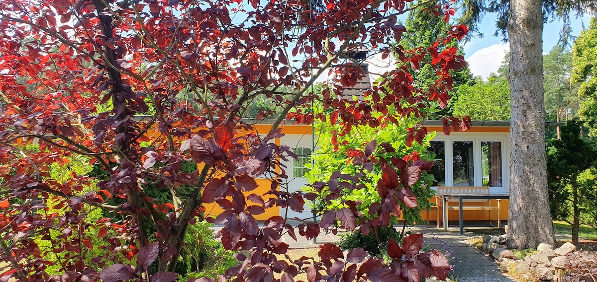 A vibrant garden is visible, featuring a flowering tree with deep red leaves in the foreground. The orange building is partially seen behind the foliage, complemented by greenery and a patio area with outdoor seating. Sunlight filters through the foliage, enhancing the serene outdoor setting.