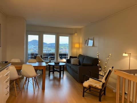Cozy 50sqm apartment with view and garden