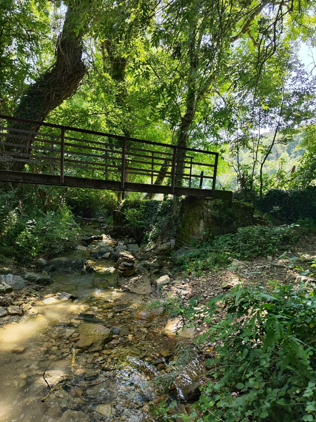 A rustic wooden bridge spans a gently flowing stream, framed by lush greenery. Sunlight filters through the trees, casting dappled shadows on the rocks and water below. The setting offers a peaceful, natural atmosphere, enhancing the tranquility of the surrounding landscape.