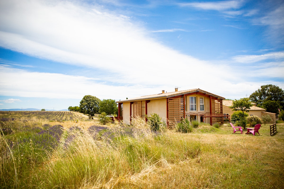 A single-story house is set amongst expansive fields, displaying a rustic wooden facade. Bright green grass and lavender patches surround the property, which features an outdoor seating area with chairs. A clear blue sky and scattered clouds provide a serene backdrop.