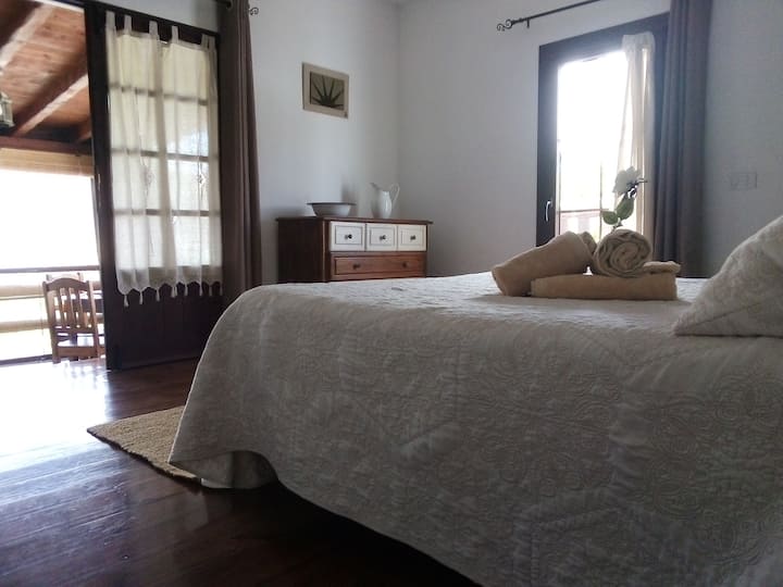 cámara 1