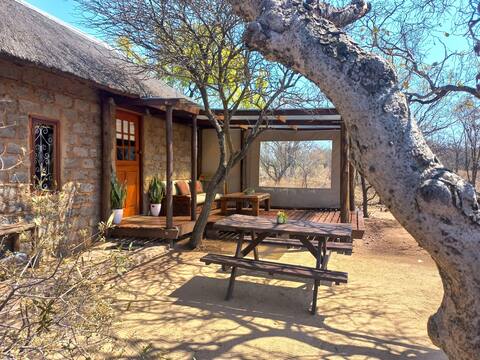 Five Pebbles on Piece of Africa