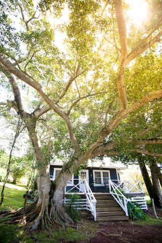 Ocean Views! Historic Authentic Hawaii.