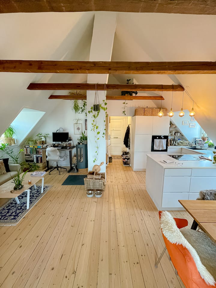 Charming loft apartment - Flats for Rent in Copenhagen, Noord-Holland ...