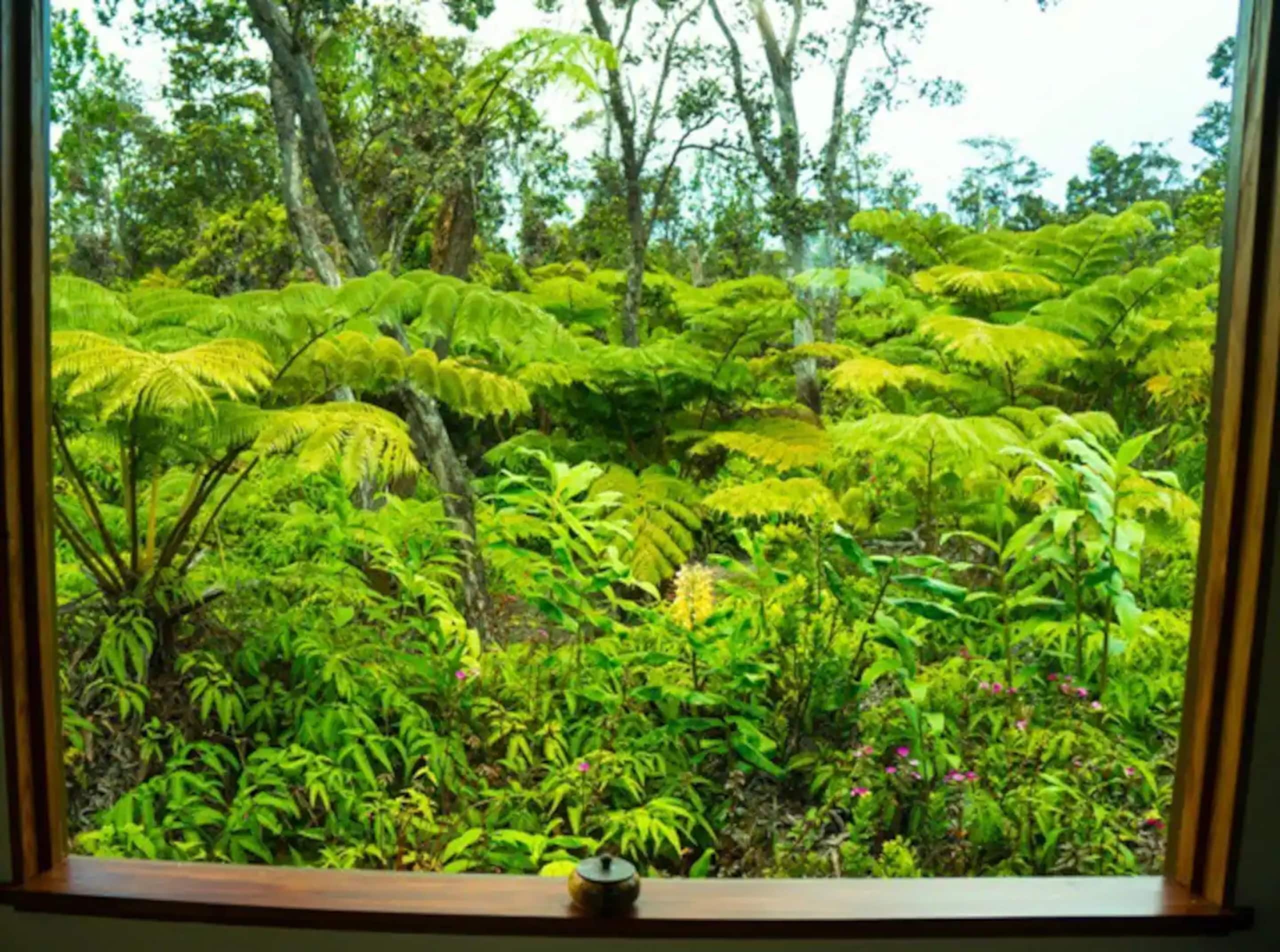 Volcano Mountain Haven -Minutes from National Park - Image 2