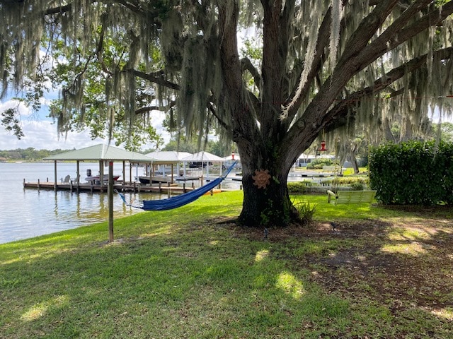 A large tree draped with Spanish moss stands in a grassy area near a calm lake. A hammock is suspended between the tree and a nearby post. In the background, a dock with boat slips extends into the water, surrounded by gentle greenery.