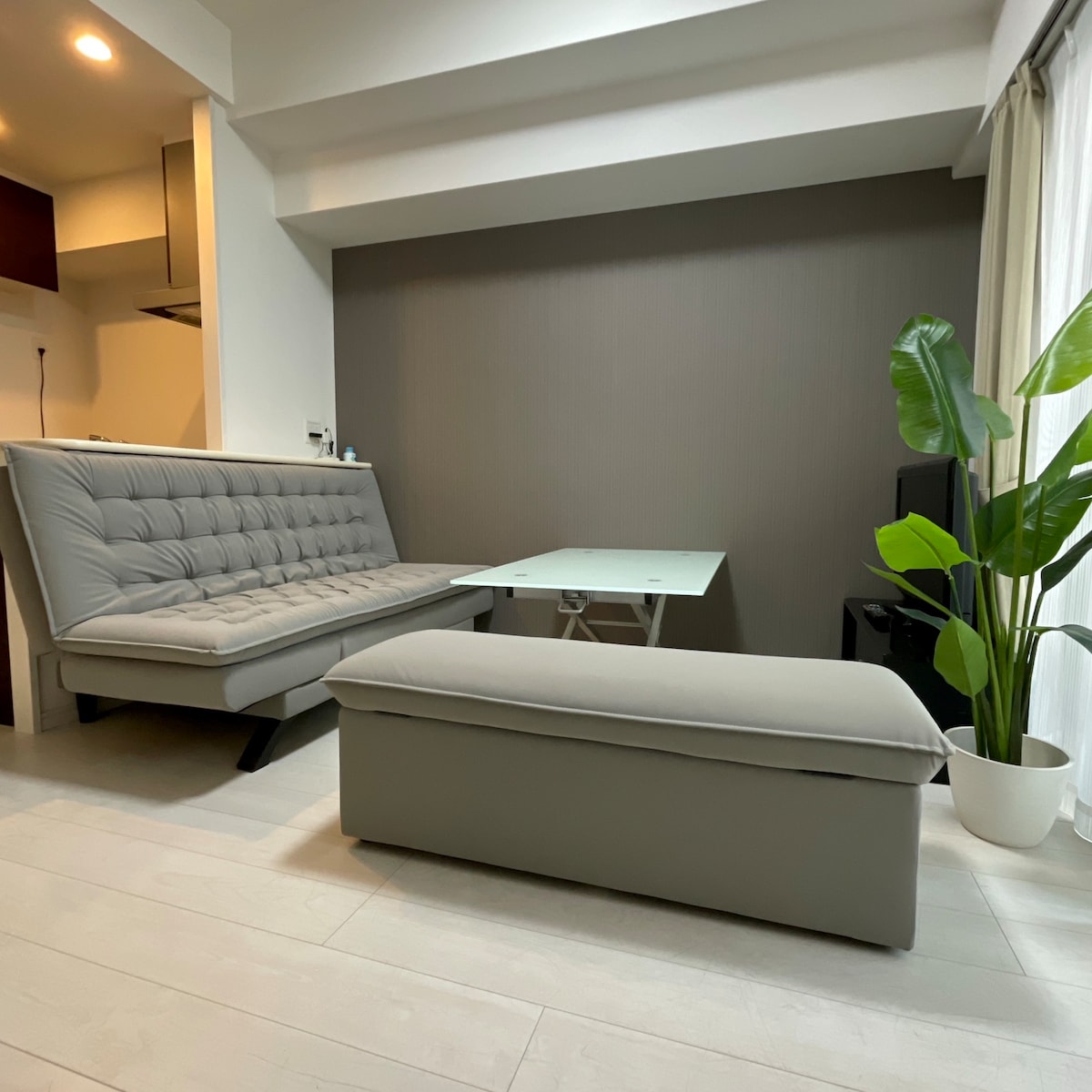 A modern living area features a sleek gray sofa bed, complemented by a glass coffee table. A potted plant adds a touch of greenery. Natural light illuminates the space through sheer curtains, enhancing the room's contemporary design.