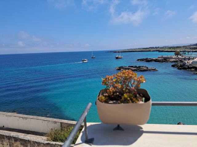“NETTUNO” La Terrazza sul Mare gallery image 4