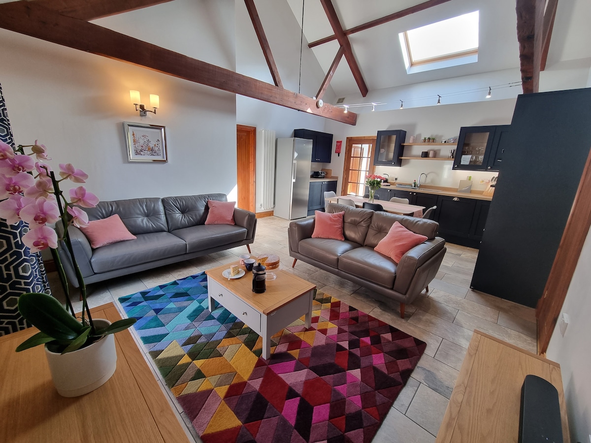 A spacious open plan living area features premium leather sofas with decorative cushions and a vibrant area rug. Natural light floods through a skylight, illuminating the stylish fitted kitchen in the background. A dining table and various kitchen appliances are also visible.