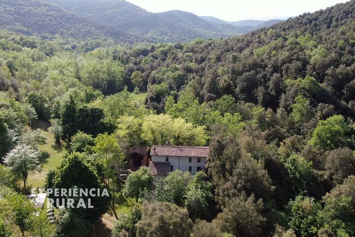 Masía aislada con piscina rodeada de bosques gallery image 2