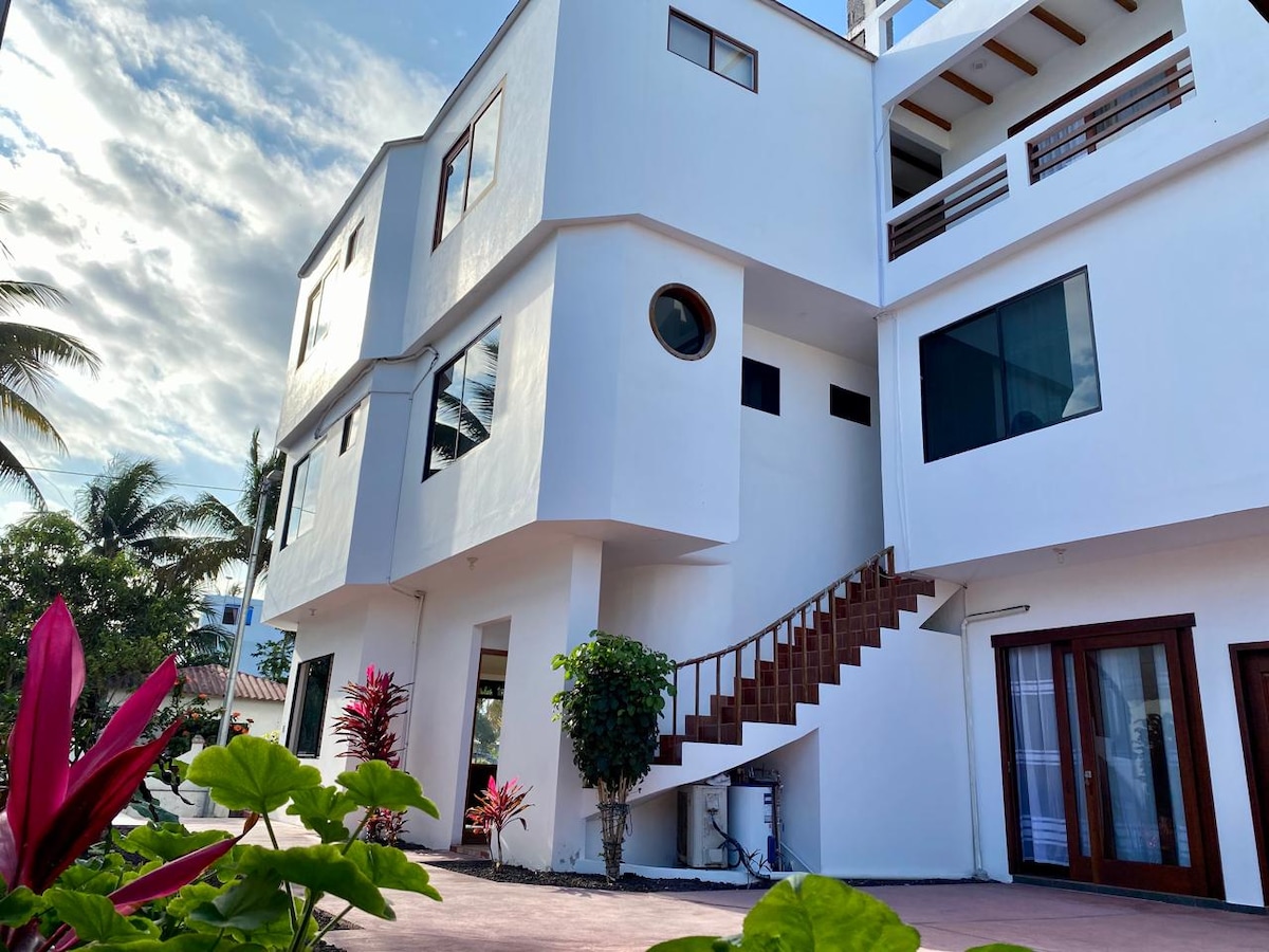 The exterior of a modern multi-level building is presented, featuring large windows and a distinctive circular window. A staircase leads to the upper levels, surrounded by vibrant foliage and tropical plants. The scene reflects a sunlit atmosphere with a clear sky above.