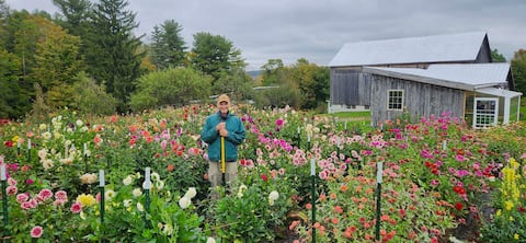 Successful Airbnb property: Maryhill - flower farm with barn near Ithaca, NY. in Ithaca