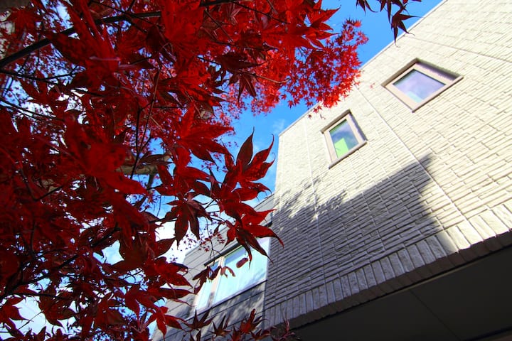 Luxury Family Getaway: City & Ski Access! - Sapporo