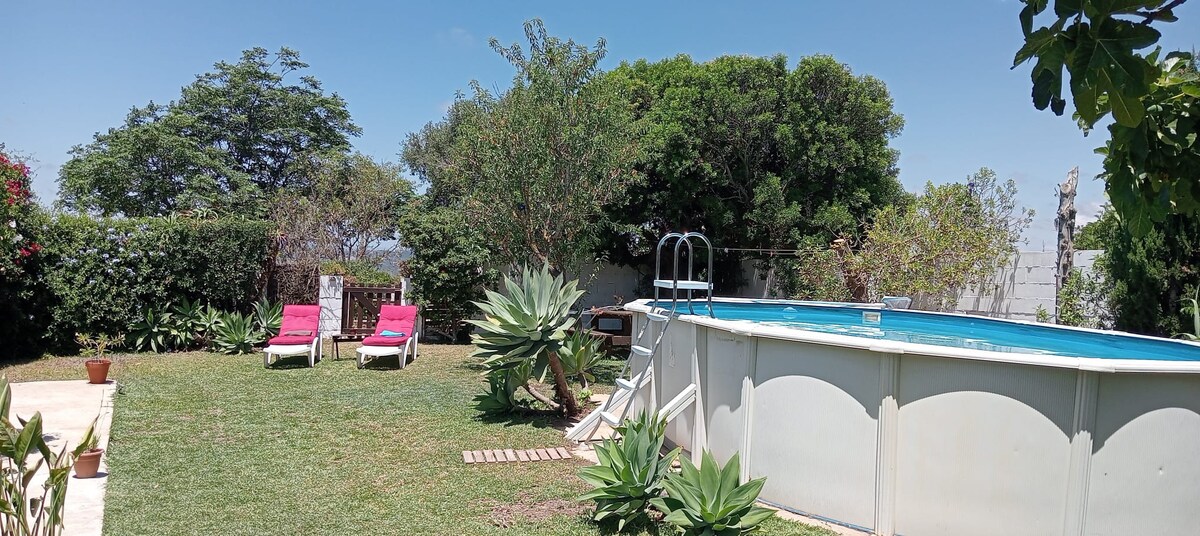 A well-maintained garden is featured, showcasing a swimming pool surrounded by greenery. Two lounge chairs are situated nearby under the shade of trees. Several potted plants enhance the natural setting, contributing to the peaceful atmosphere.