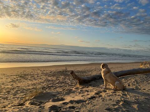 Beach front and Bay View! Pets welcome!
