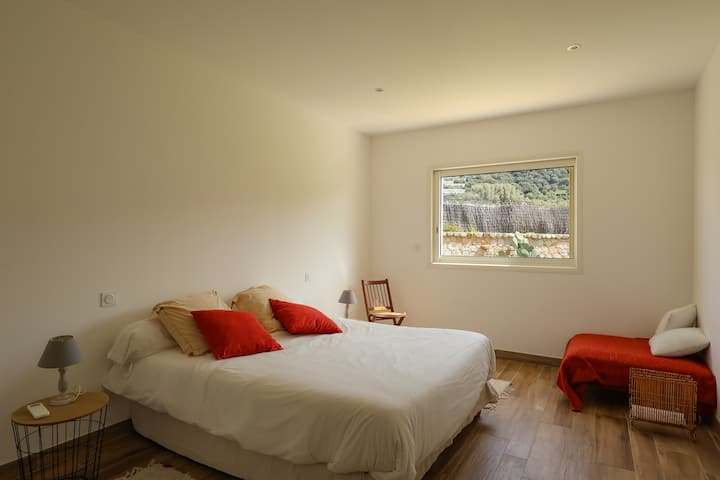 Habitación 1