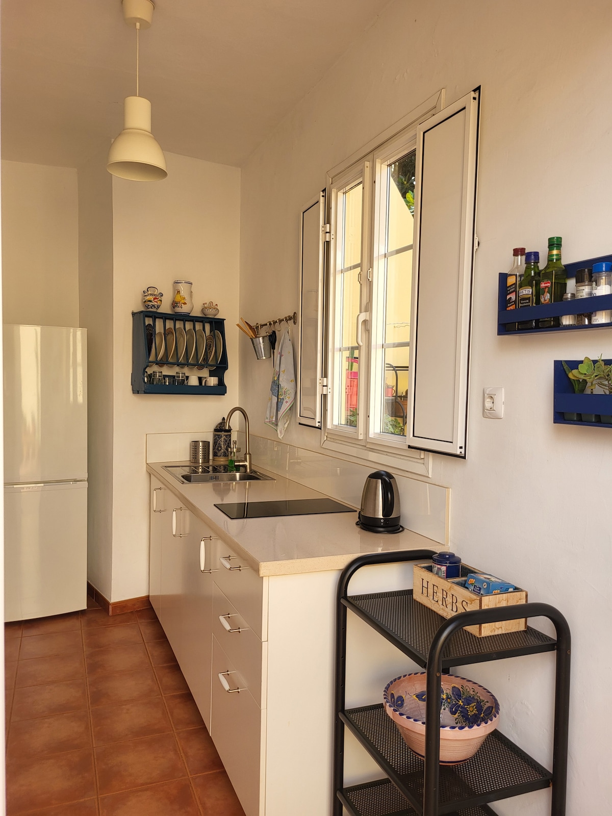 Top performing Airbnb: Attic Garcia Sanabria Park. 70 m terrace 200 cacti in Santa Cruz De Tenerife