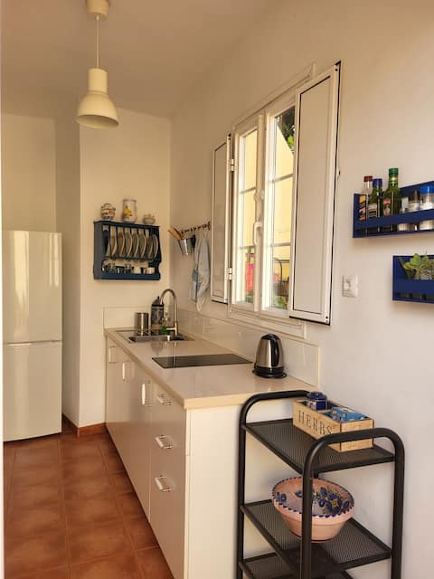Airbnb con mejor rendimiento: Attic Garcia Sanabria Park. 70 m terrace 200 cacti en Santa Cruz De Tenerife