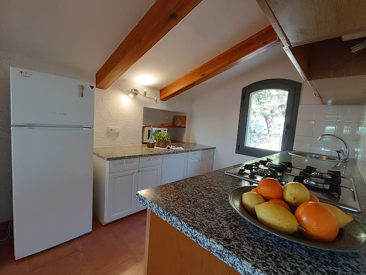 Beautiful Old Farmhouse With Pool Ii (Pg-503) - Girona