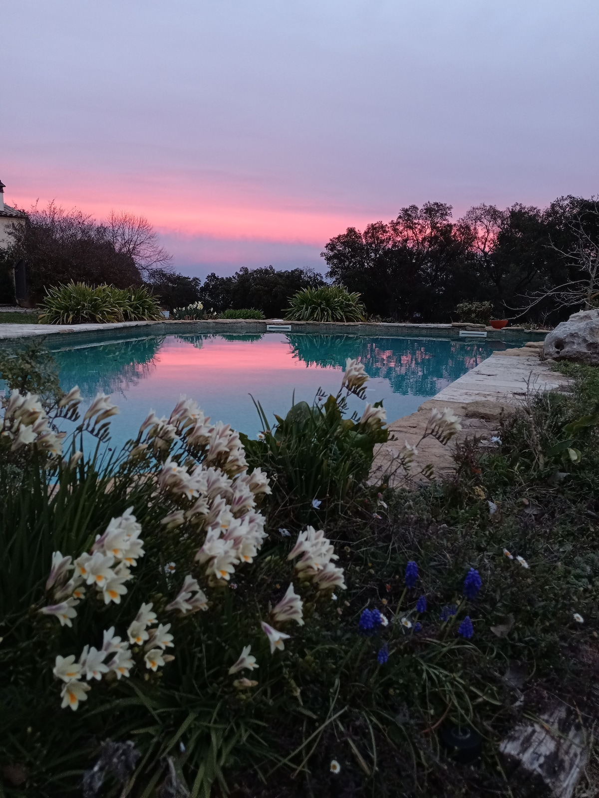 A serene swimming pool reflects a pink and purple sunset sky, framed by lush greenery and blooming flowers. The pool area creates a calm atmosphere, while surrounding trees add to the natural beauty of the setting.