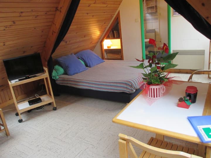 Vista del monolocale di 24 metri quadrati, lato camera da letto (letto 1,60 x 2 m).