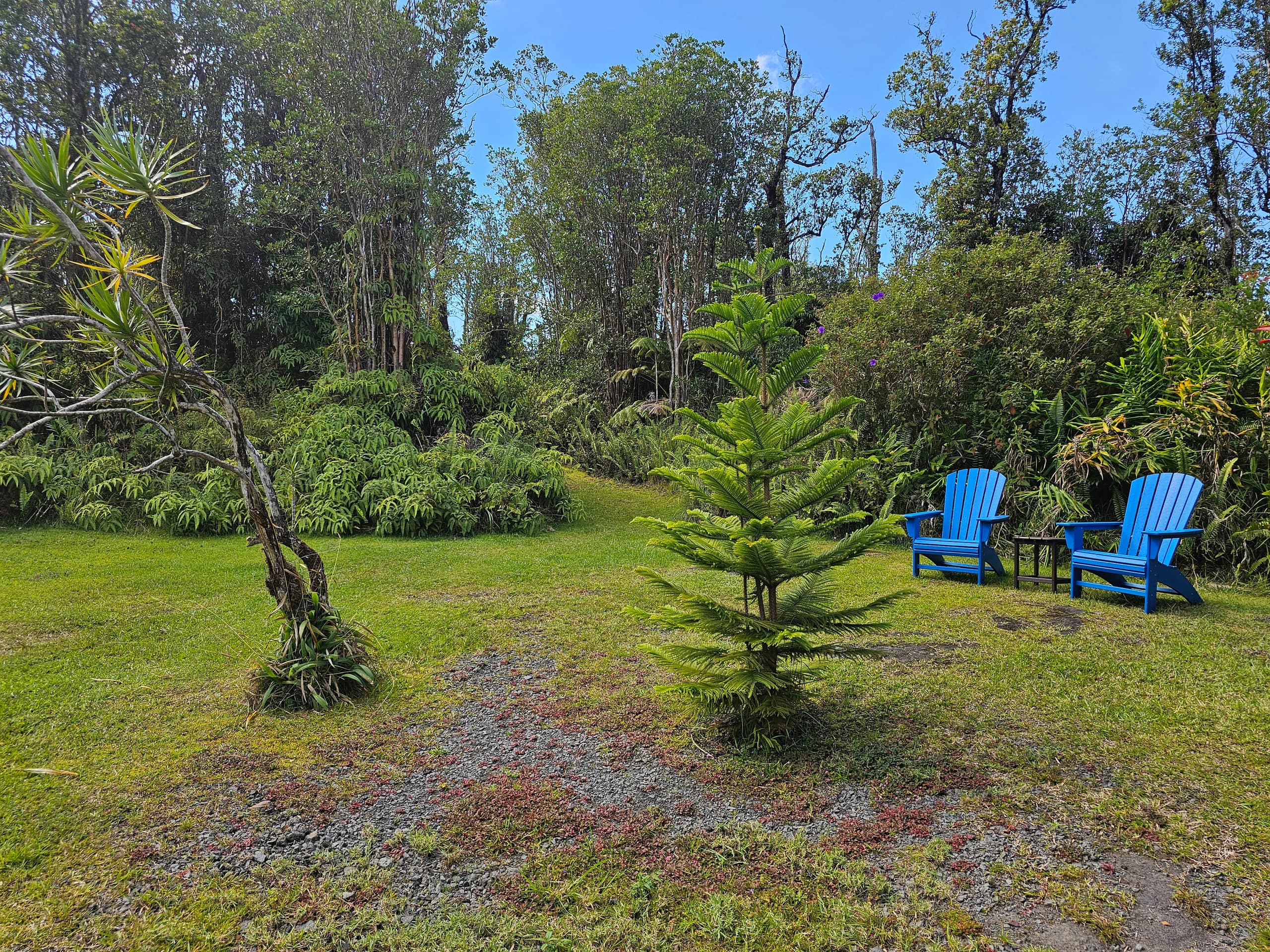 Guesthouse in Volcano · ★4.98 · 1 bedroom · 1 bed · 1 private bath - Image 27
