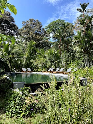 Entire home with 2 bedrooms in Southern Caribbean Coast - Passion Fruit Lodge Casa Maracuya