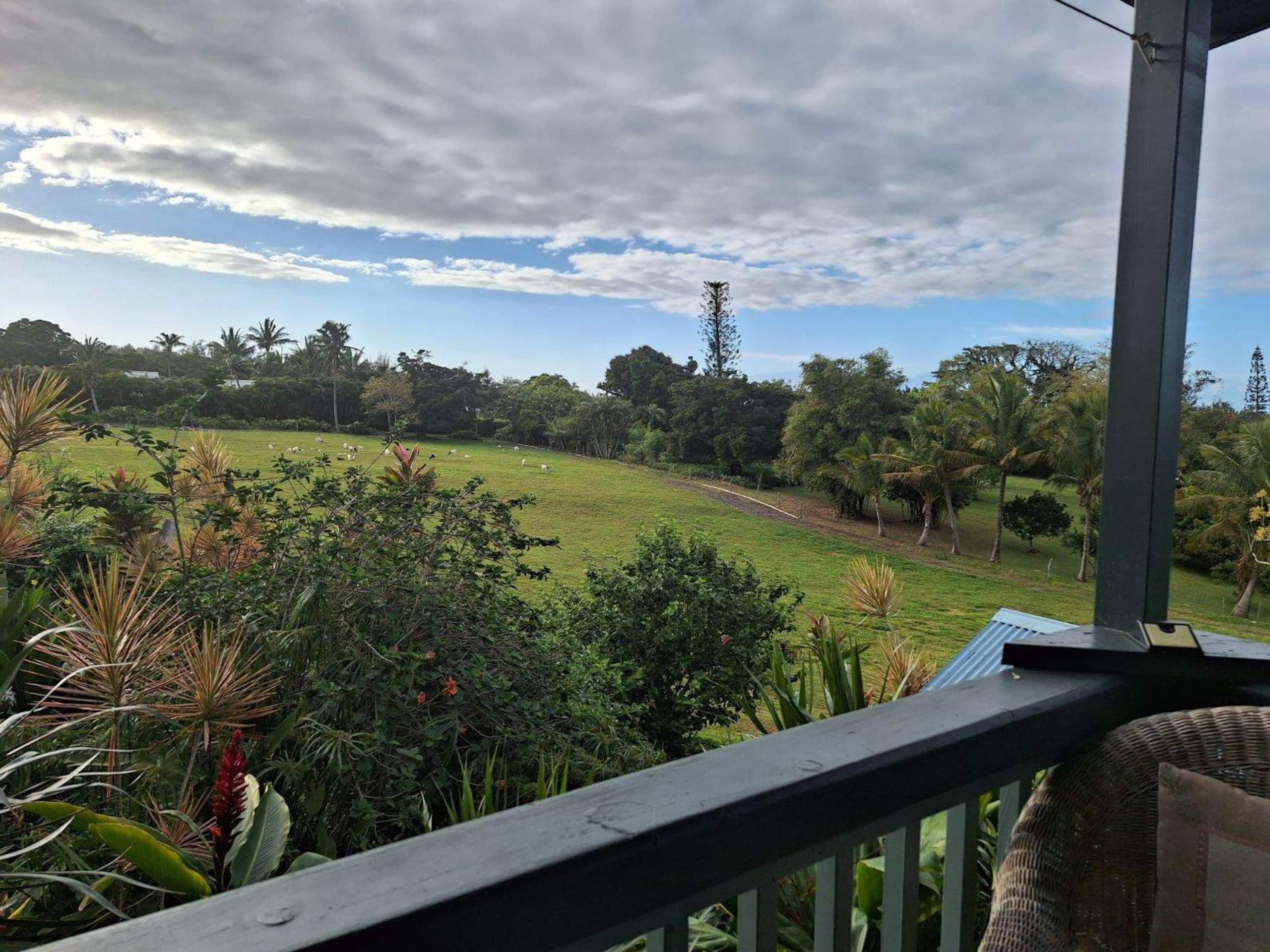 Home in Kapaau · ★4.86 · 1 bedroom · 2 beds · 1 private bath - Image 17