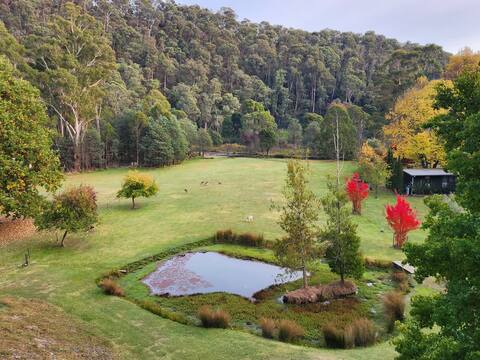 Riversong - On the Delatite river. 5 min to Buller