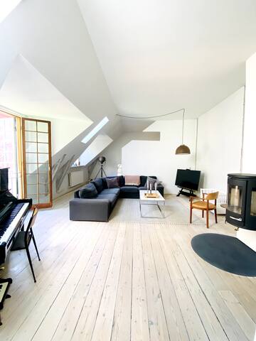 Central CPH/ Nyhavn/ Huge private roof terrace gallery image 2