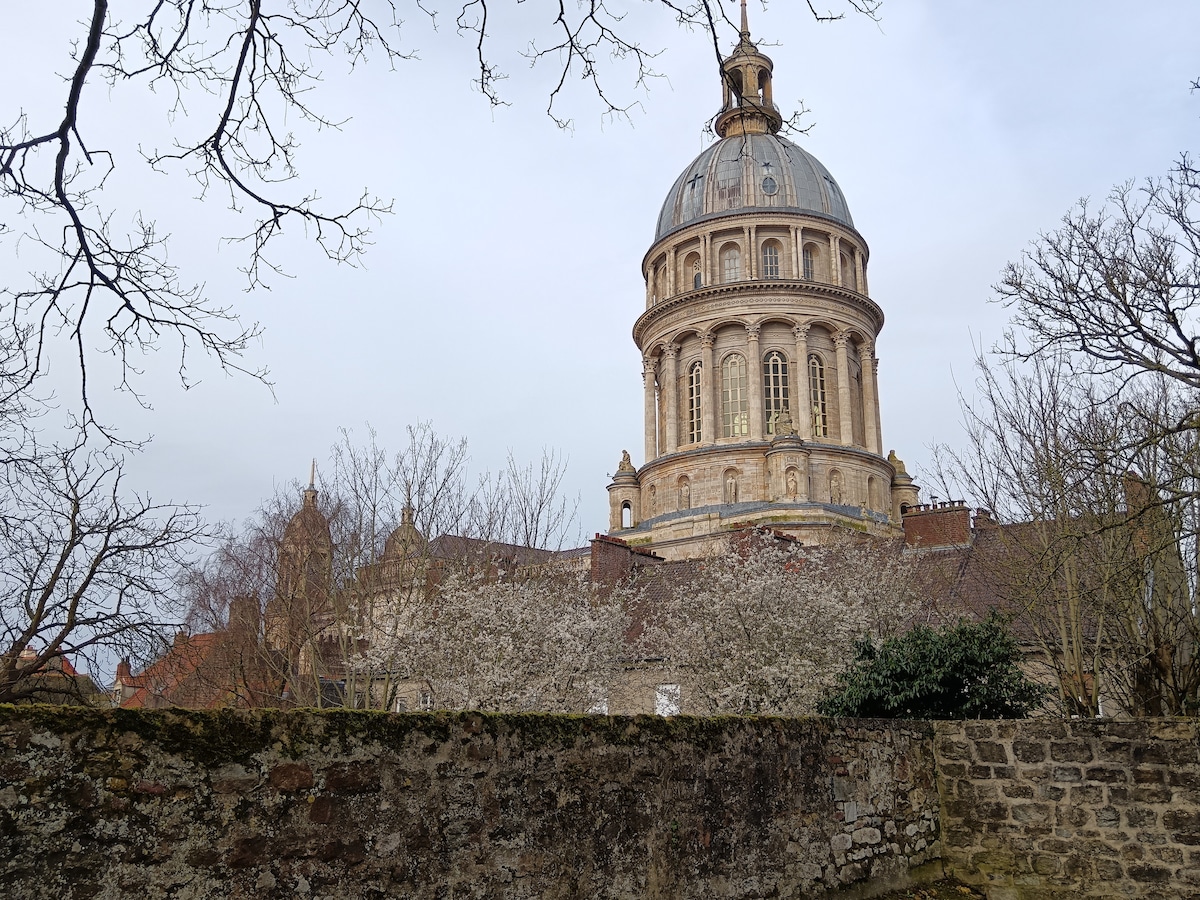 A historical building with a prominent dome is framed by branches and a stone wall. The dome displays intricate architectural features, and trees with budding flowers are visible, enhancing the serene environment surrounding the structure.