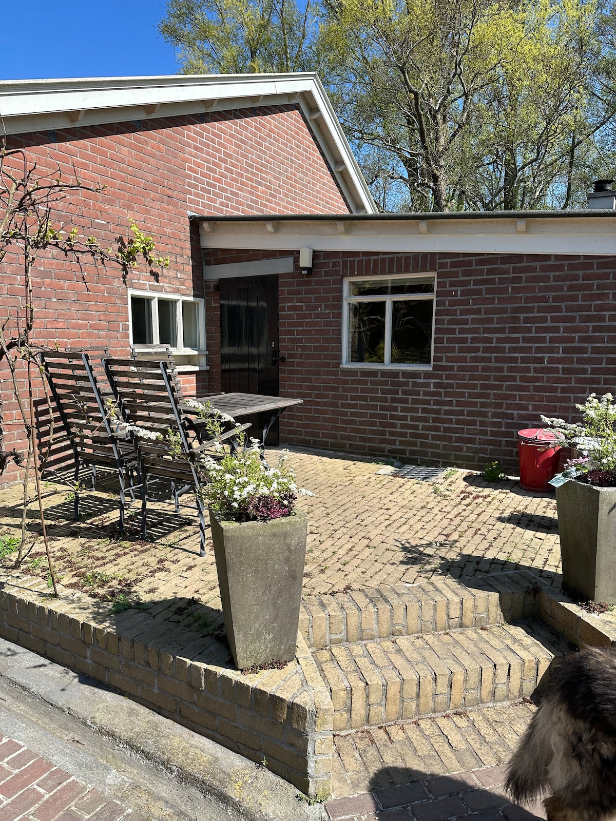 A patio area is presented with a paved pathway leading to a brick building featuring a window. Two metal chairs surround a small table adorned with pots of flowers. Greenery is visible in the background, enhancing the outdoor setting.
