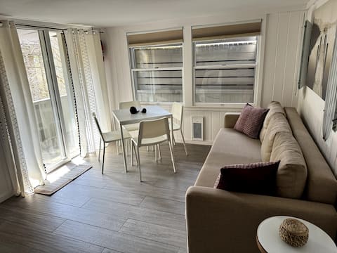 Successful Airbnb property: "SOUTH APT." Renovated 1 Br Apt. In Great Location in Fire Island