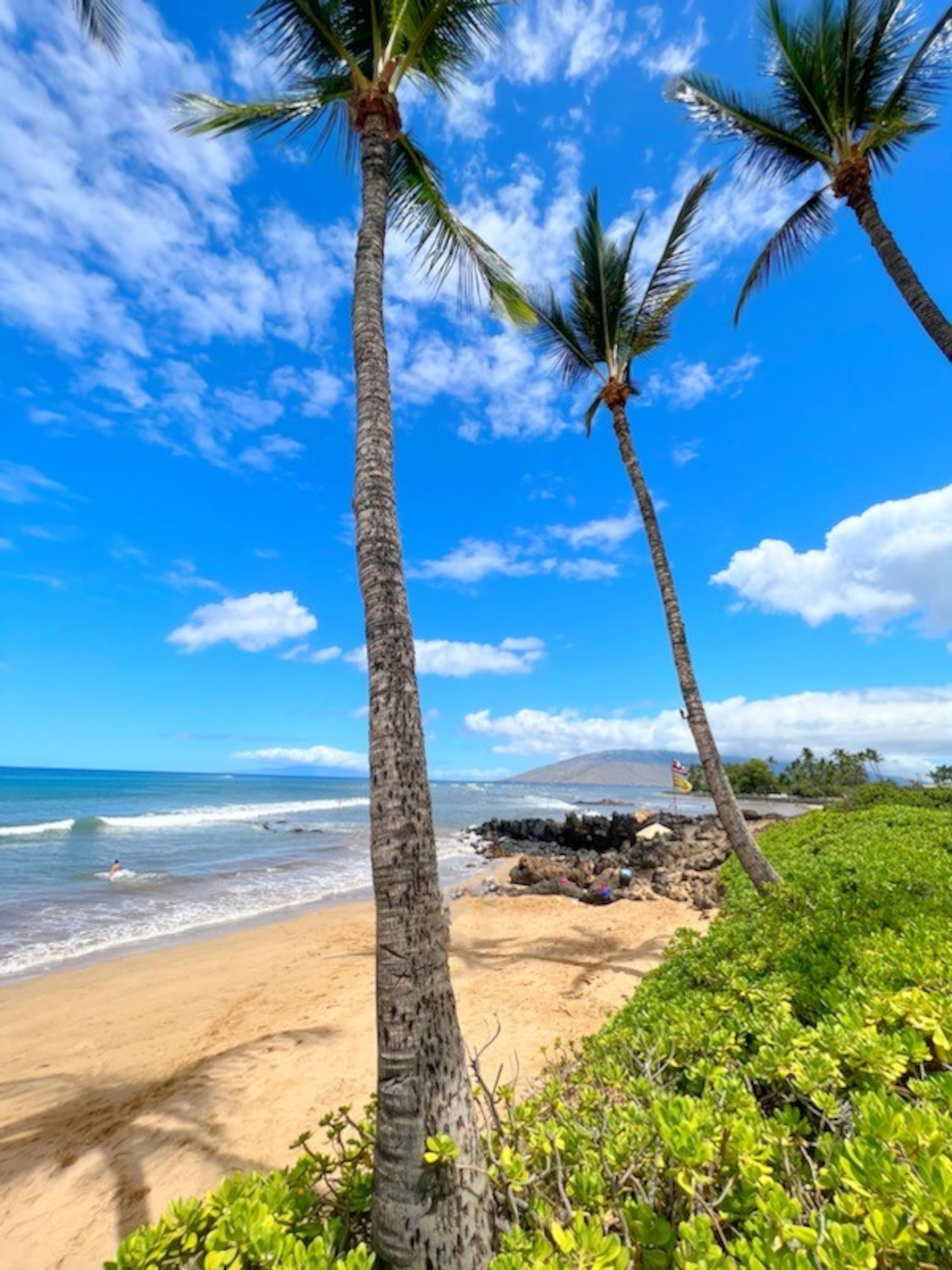 Home in Kihei · ★4.95 · 1 bedroom · 2 beds · 1 bath - Image 23