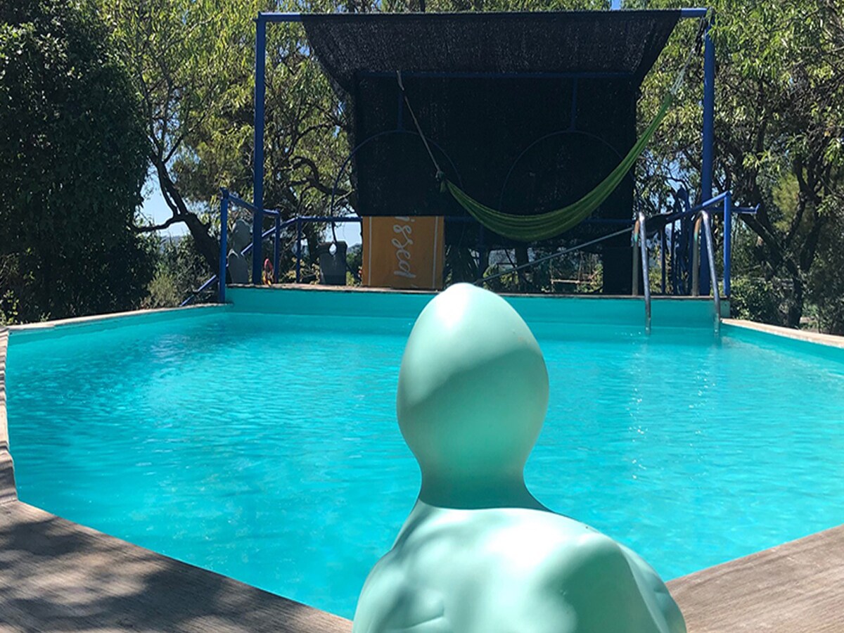 A refreshing outdoor pool is surrounded by lush greenery, featuring a vibrant blue surface under sunlight. A hammock is positioned nearby, complemented by a shaded area for relaxation. The overall space invites leisure and enjoyment in a tranquil setting.