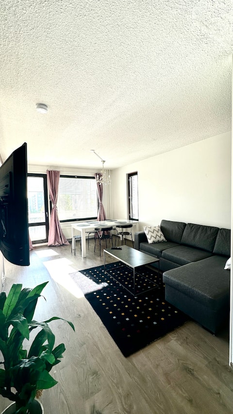 Top performing Airbnb: 3 bedrooms, sauna, parking space, great location in Tammela B