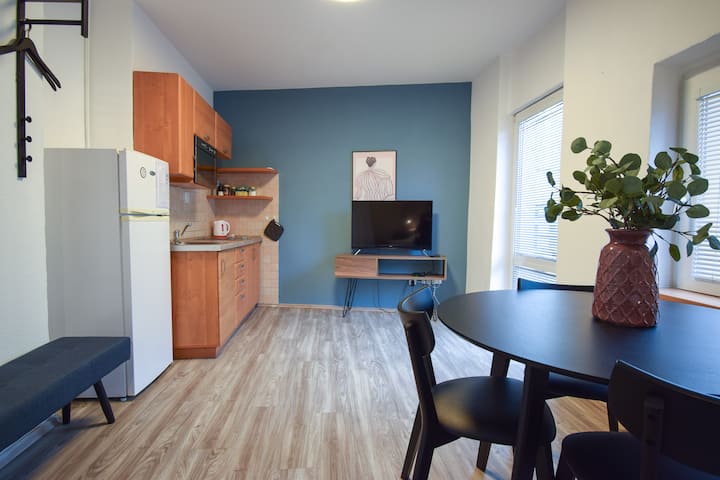Spacious Studio With A Terrace - Praga