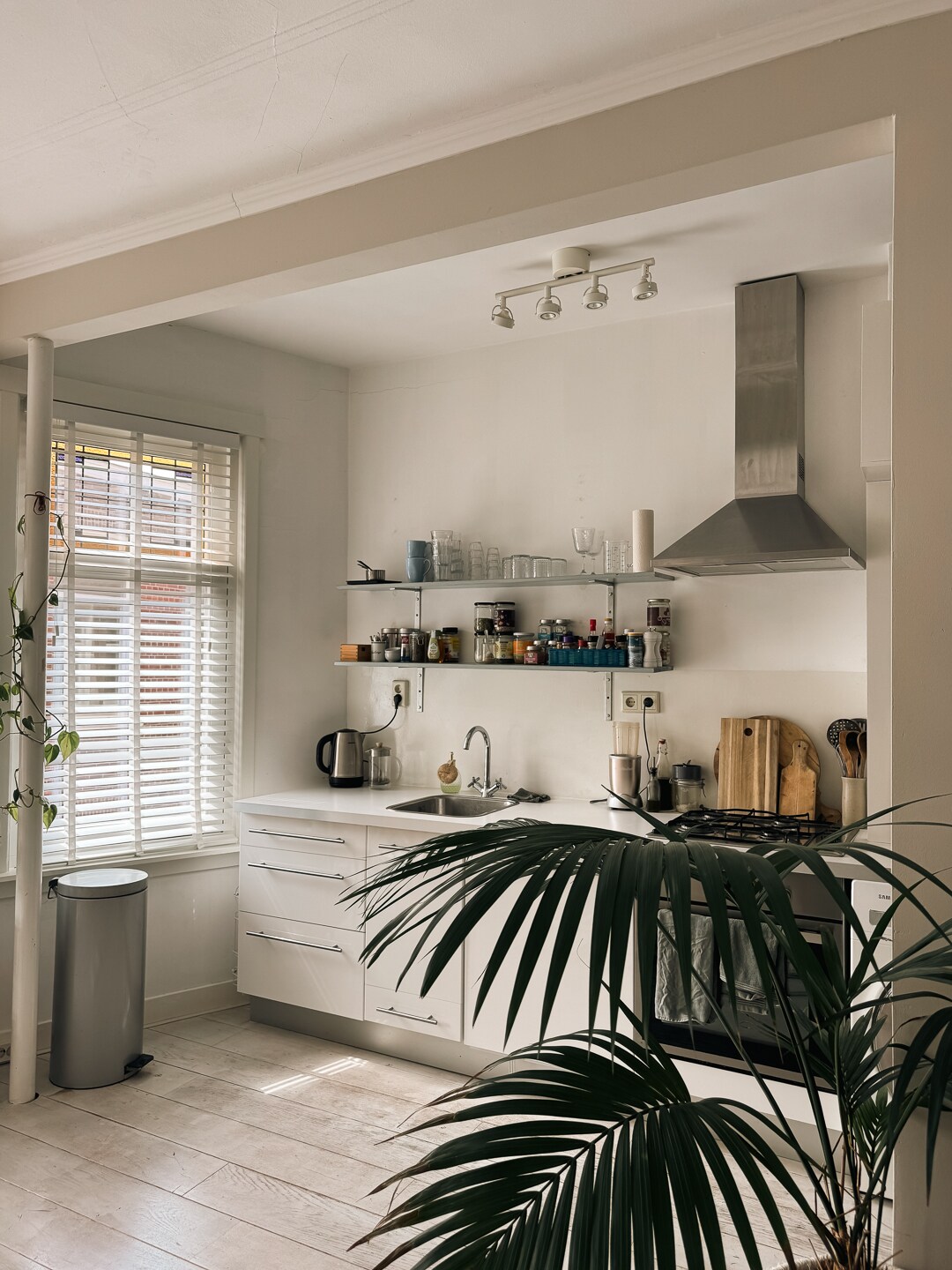 A bright and functional kitchen features modern white cabinetry and a variety of cooking essentials on display. A gas stove is positioned beneath a sleek hood, while natural light filters through partially open blinds. A potted plant adds a touch of greenery to the space.