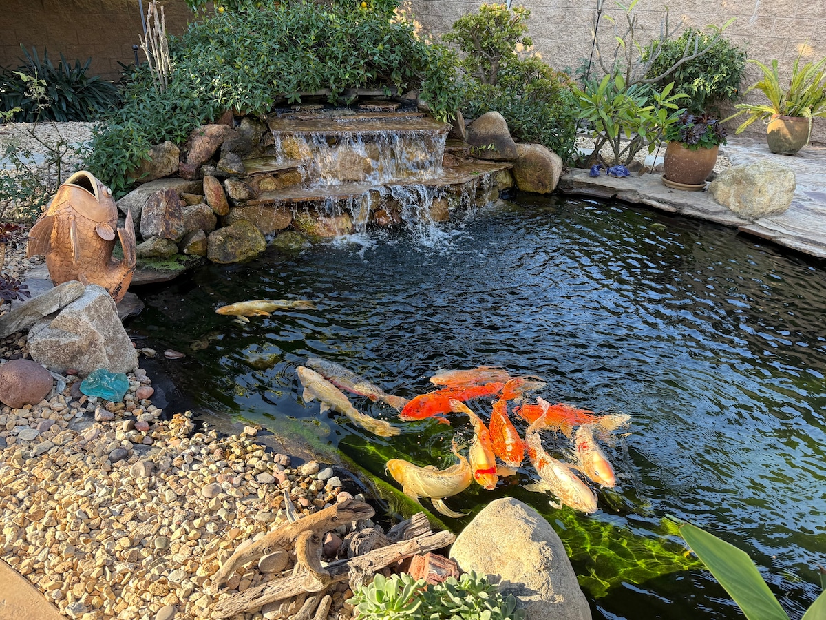 A tranquil koi pond is nestled within a landscaped garden, featuring several colorful koi fish swimming gracefully near the surface. Rocks and plants frame the pond, while a small waterfall cascades gently into the water, creating a soothing ambiance.