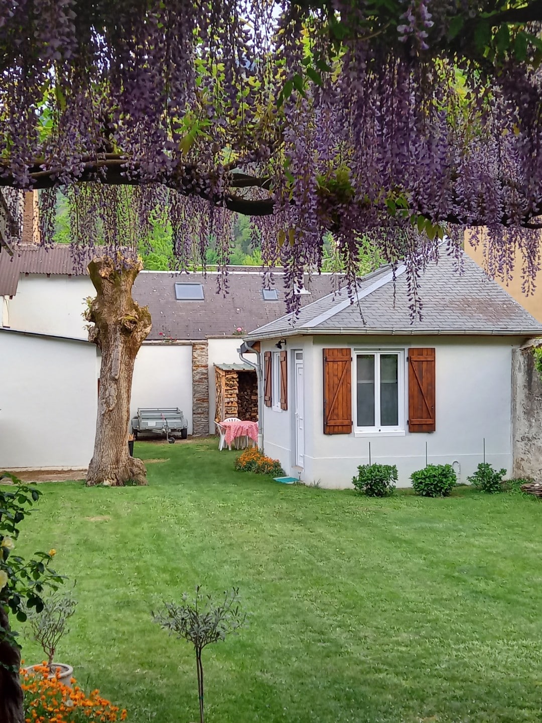 A serene garden space is presented, featuring a well-maintained lawn bordered by neat flowerbeds. A small, white building is visible with wooden shutters. A tree draped in cascading purple flowers adds a touch of natural beauty to the setting.