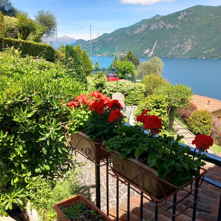 Beautiful view Lake Como & big terrace - Limonta - Apartments for