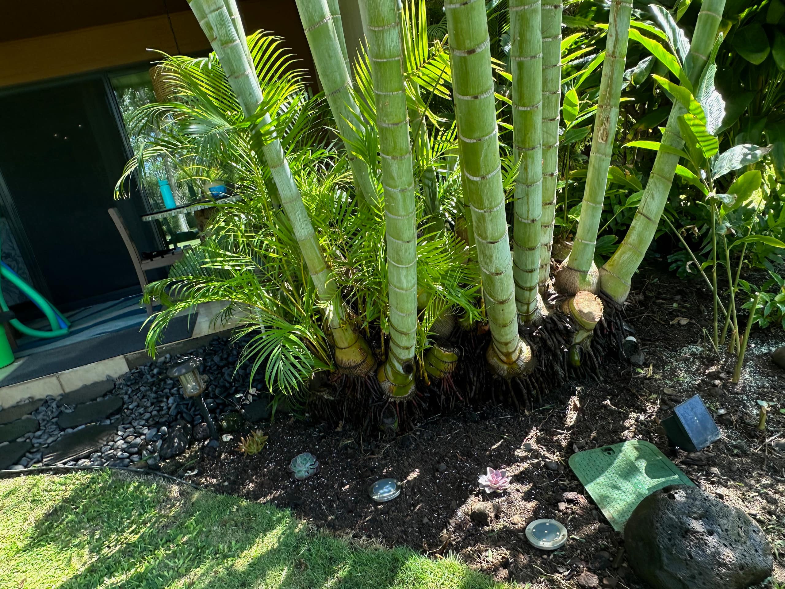 Condo in Kihei · ★4.94 · 2 bedrooms · 4 beds · 1 private bath - Image 19