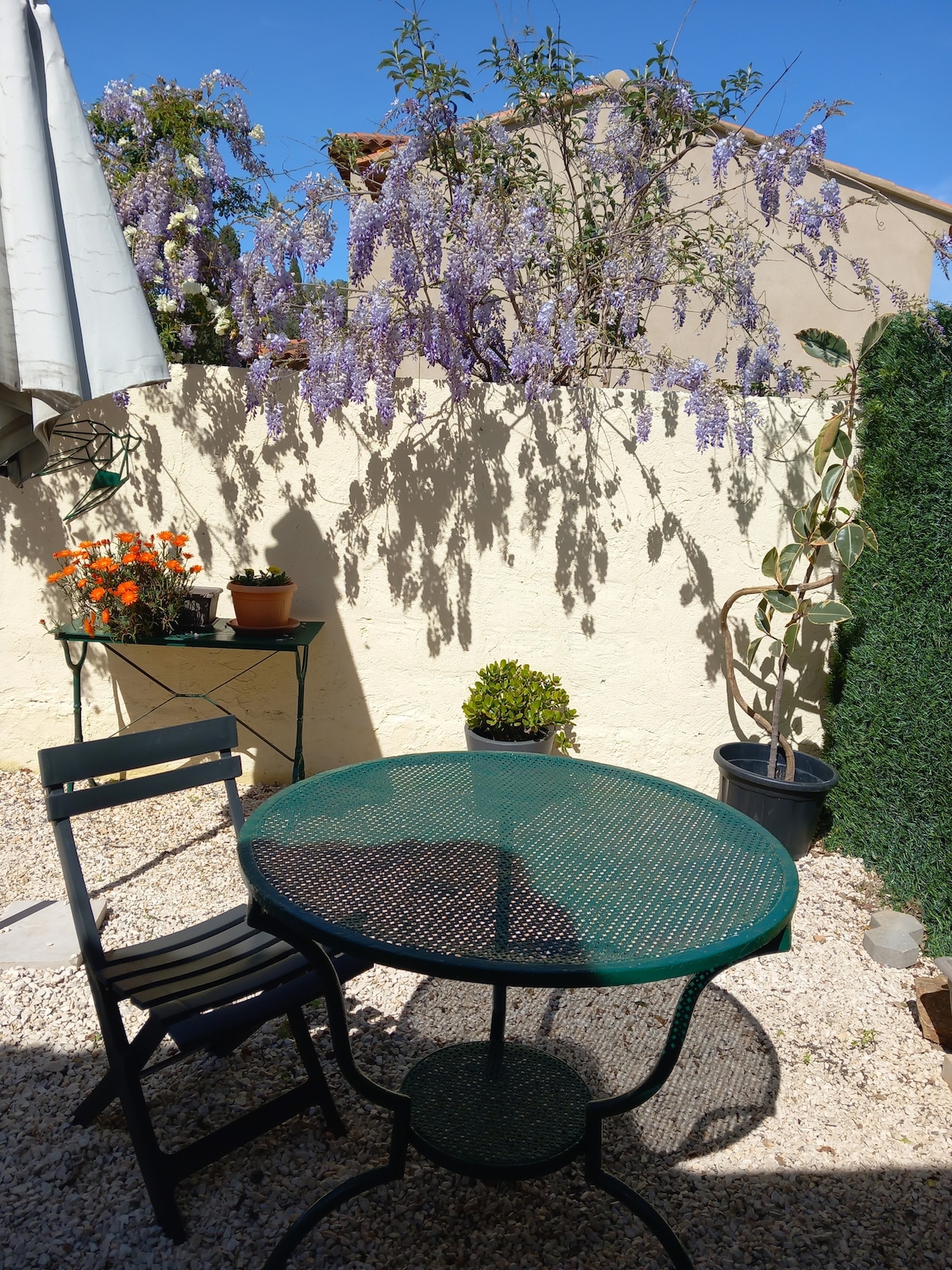 A small outdoor space features a round metal table surrounded by a chair. Potted plants, including vibrant orange flowers, are placed on a nearby table under a wisteria plant. A wall covered with greenery contributes to the serene atmosphere.