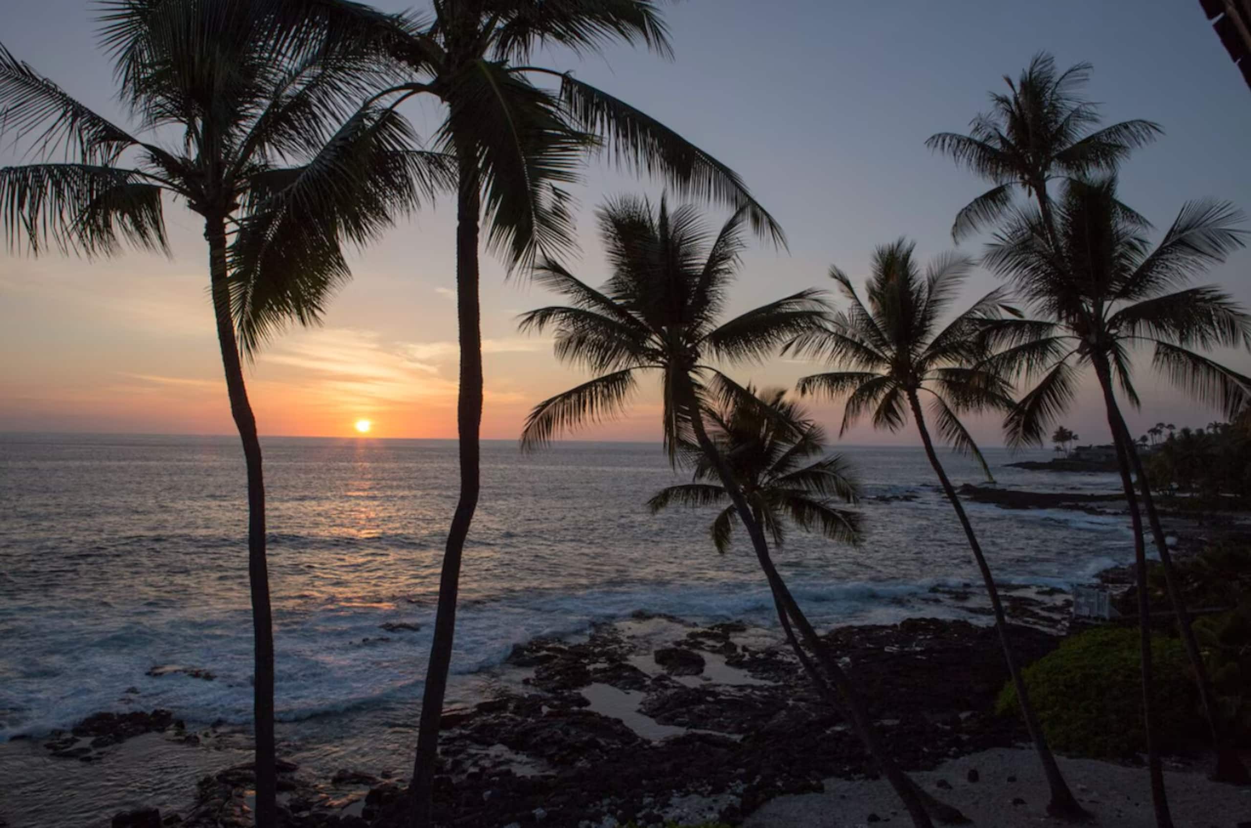 Condo in Kailua-Kona · ★4.91 · 2 bedrooms · 2 beds · 2 baths - Image 26