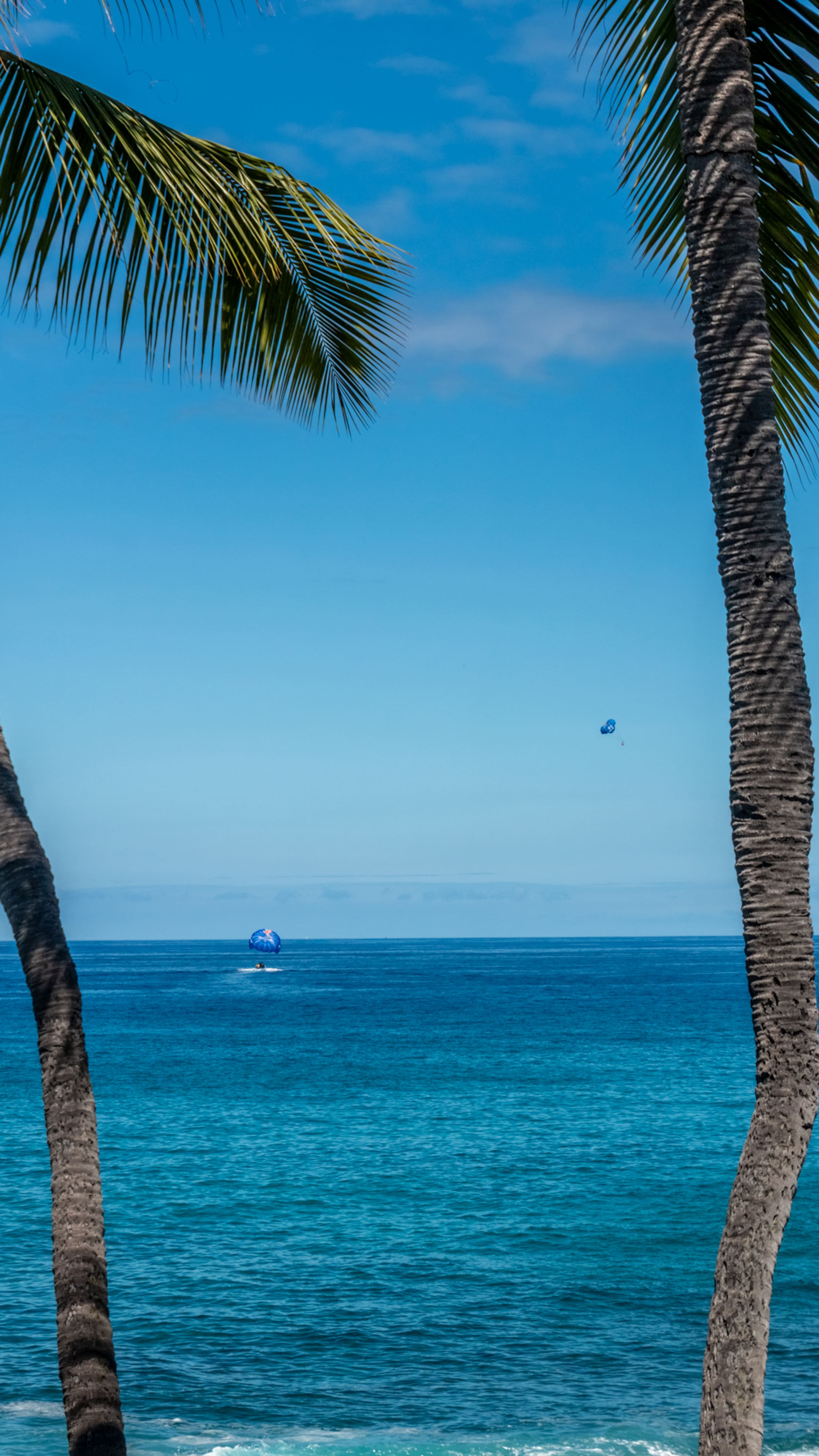 Condo in Kailua-Kona · ★4.91 · 2 bedrooms · 2 beds · 2 baths - Image 29